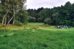 View of site No. 1 - wet meadow