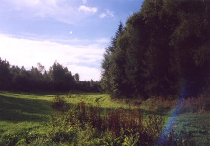 View of site No. 1 - wet meadow, upper part